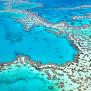 Bucket List Trip Great Barrier Reef 1